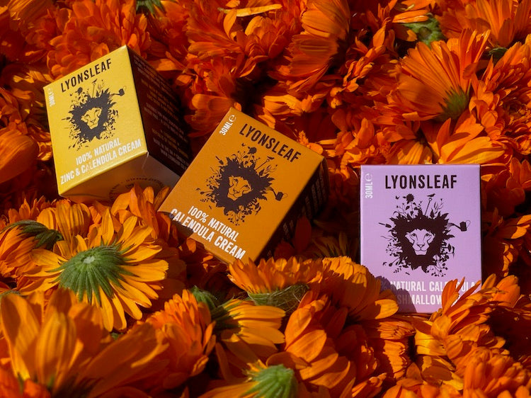 Every Lyonsleaf Calendula Product Has a Story