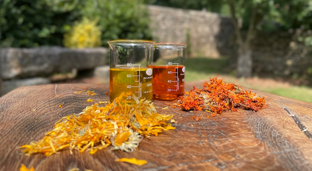 Why We Believe Great Skincare Begins in the Field