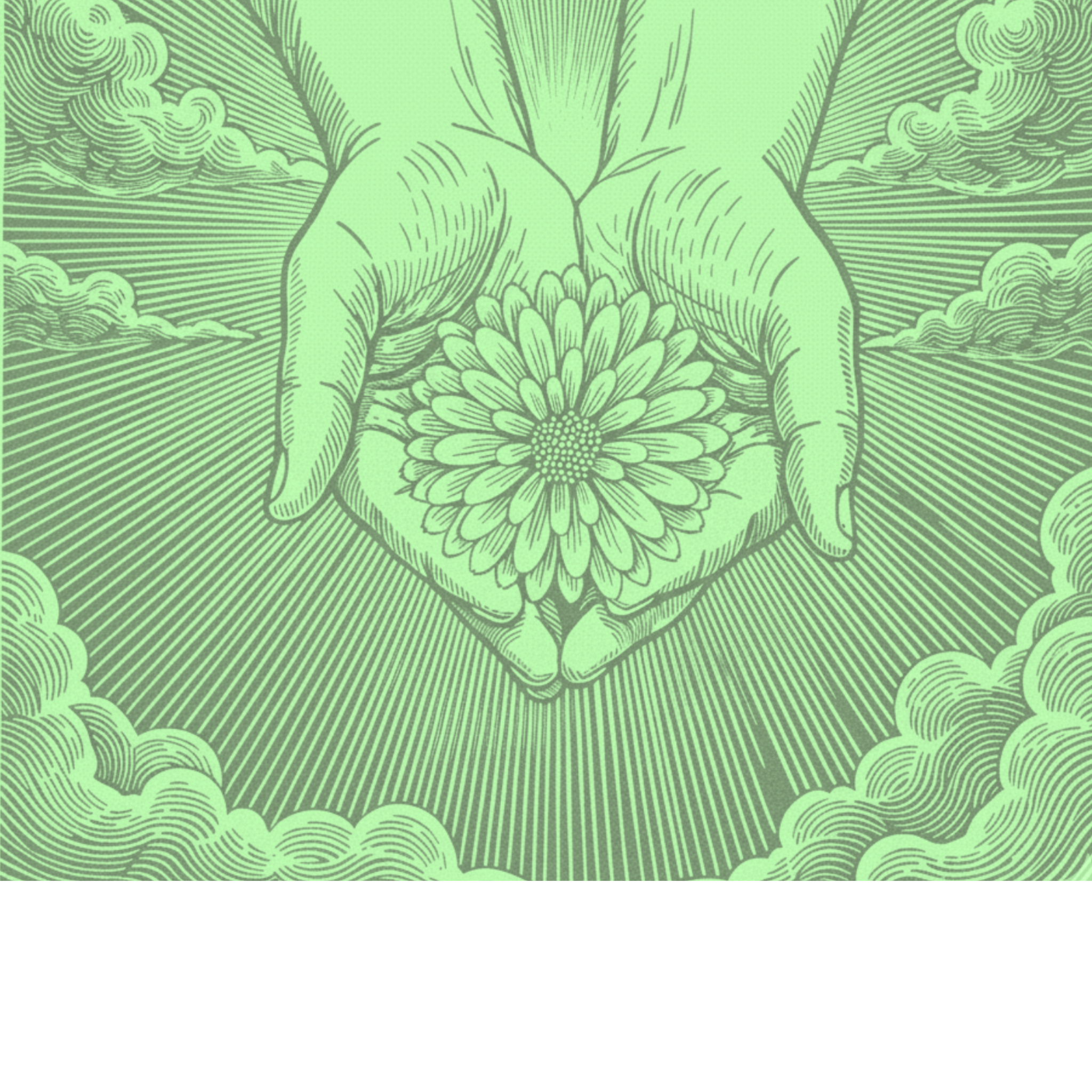 graphical of cupped hands holding a flower