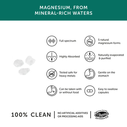Natural Magnesium Supplement - From Seawater - Together Health - 30 vegecaps